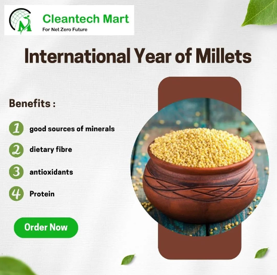 international millet of the year
